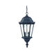 Telfair 2 Light 10 inch Matte Black Exterior Hanging Lantern