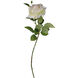 Real Touch Cream Stems