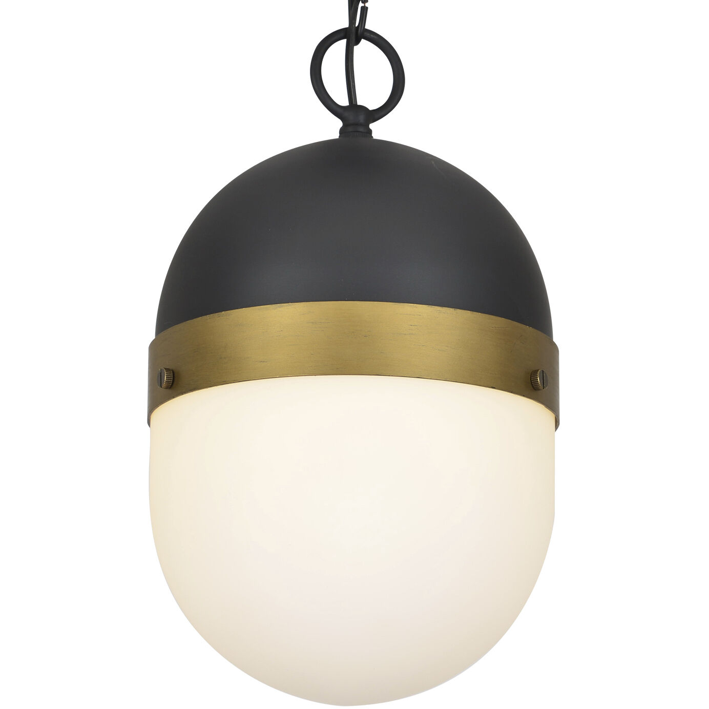 Capsule 1 Light 8 inch Matte Black/Textured Gold Outdoor Pendant