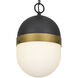 Capsule 1 Light 8 inch Matte Black/Textured Gold Outdoor Pendant