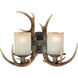 Yoho LED 16.75 inch Black Walnut Wall Light