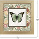 Baroque Butterfly Green and Red and Yellow and Blue Framed Art, Propac