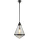Willard Pendant Ceiling Light in Urban Bronze, Clear Prismatic Glass