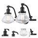 Franklin Restoration Olean LED 19 inch Oil Rubbed Bronze Bath Vanity Light Wall Light in Clear Glass, Franklin Restoration