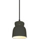 Radiance Collection 1 Light 8 inch Pewter Green Pendant Ceiling Light