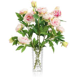 Blushing Peony Garden Wall Art