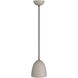 Wade 1 Light 8.5 inch Taupe Flush Mount Ceiling Light