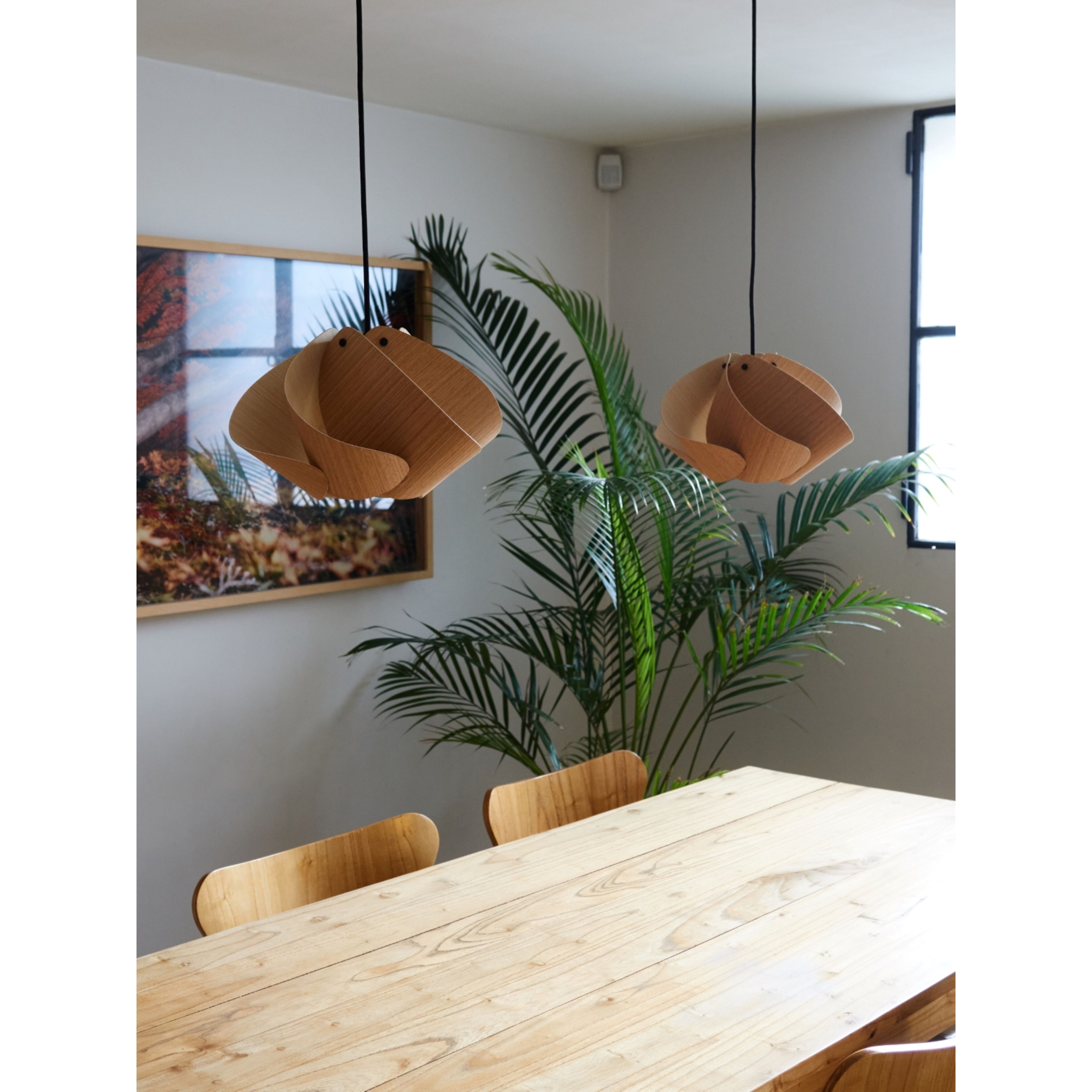 Matilda LED 11.9 inch Petiribi and Ash Pendant Ceiling Light in Petribi/Ash