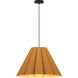 Lora 1 Light 22.8 inch Black Pendant Ceiling Light in Petribi/Ash, 23 in, WEP Collection