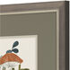 Florals Orange and Green and Blue and Brown Framed Art
