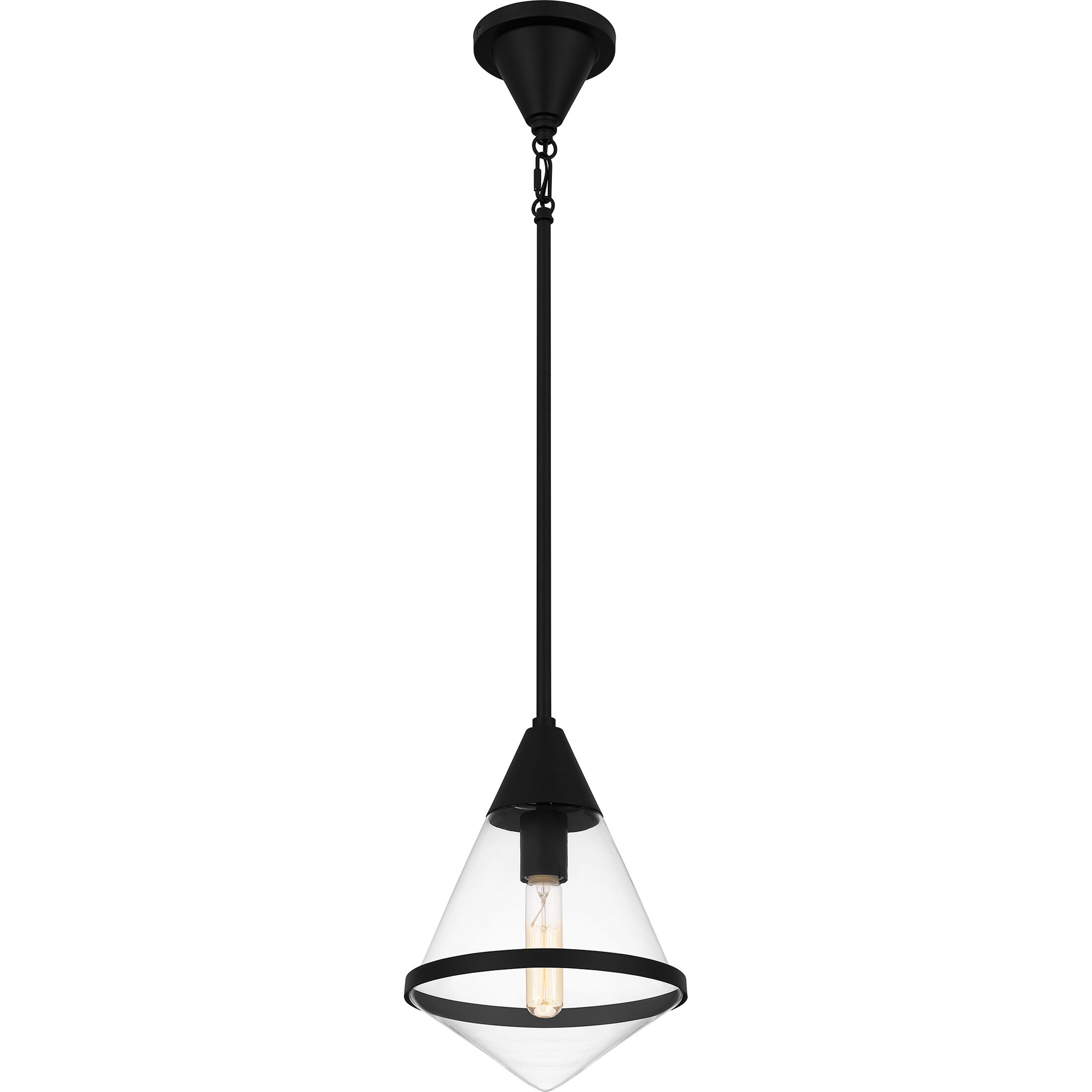 Hidalgo 1 Light 9.5 inch Matte Black Mini Pendant Ceiling Light