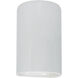 Ambiance Cylinder LED 9.5 inch Gloss White Outdoor Wall Sconce, Small