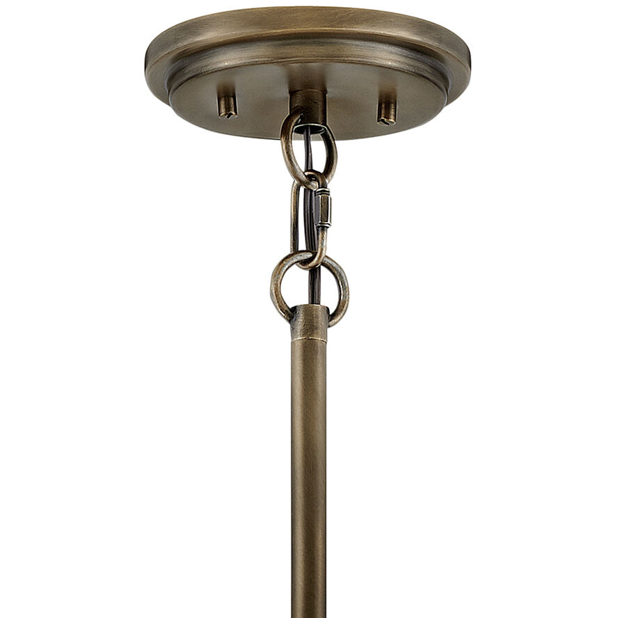 Open Air Alder 1 Light 20 inch Burnished Bronze Outdoor Pendant