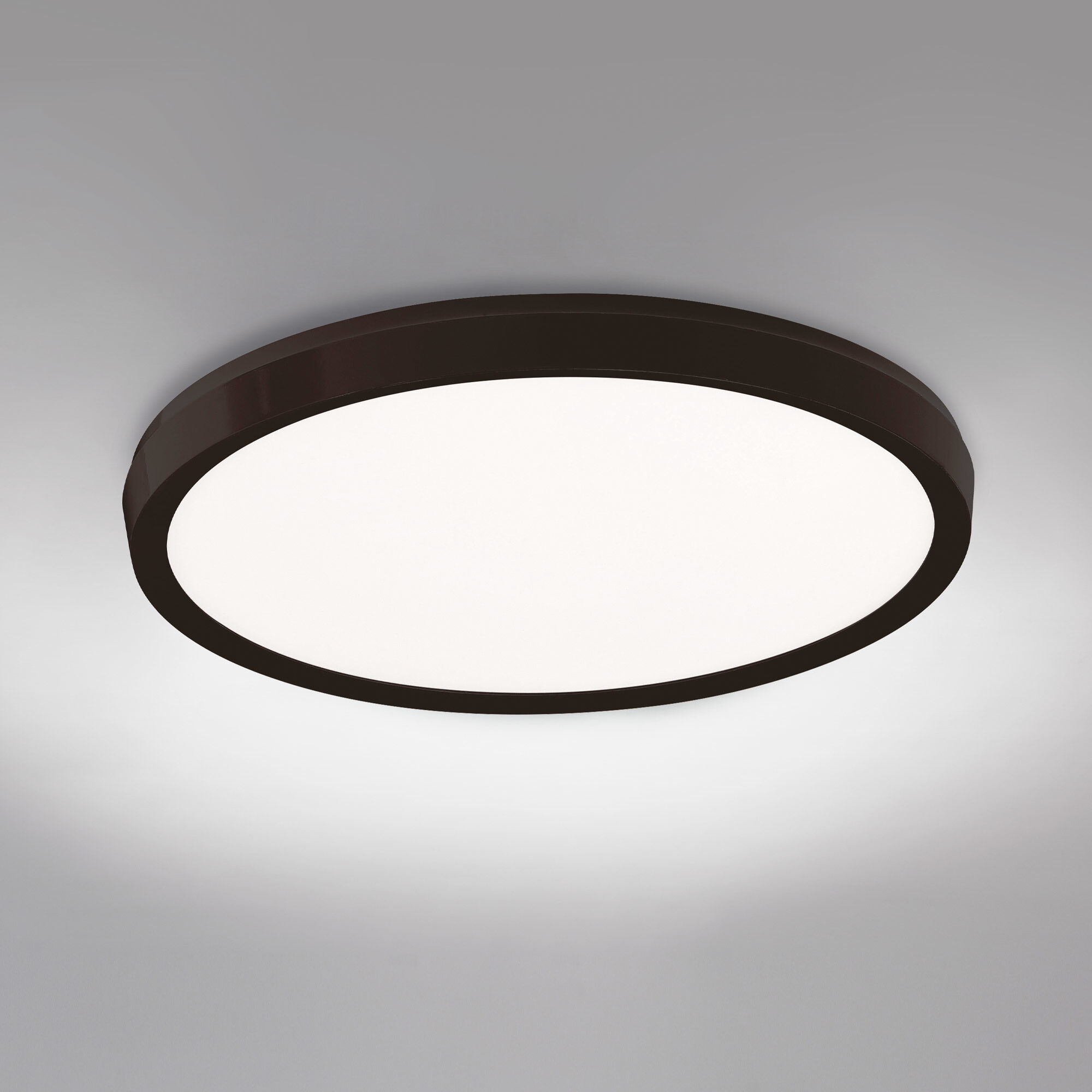 Argo LED 15 inch Black Flush Mount Ceiling Light in 15in.