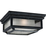 Outdoor Ceiling Lights