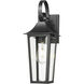 Gannon Outdoor Wall Light in Black, G9