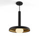 Combi LED 12 inch Matte Black Pendant Ceiling Light in Matte Black + Brass, Suspension / Flush Mount 2-in-1
