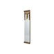 Anita 63 X 15 inch Antique Mirror