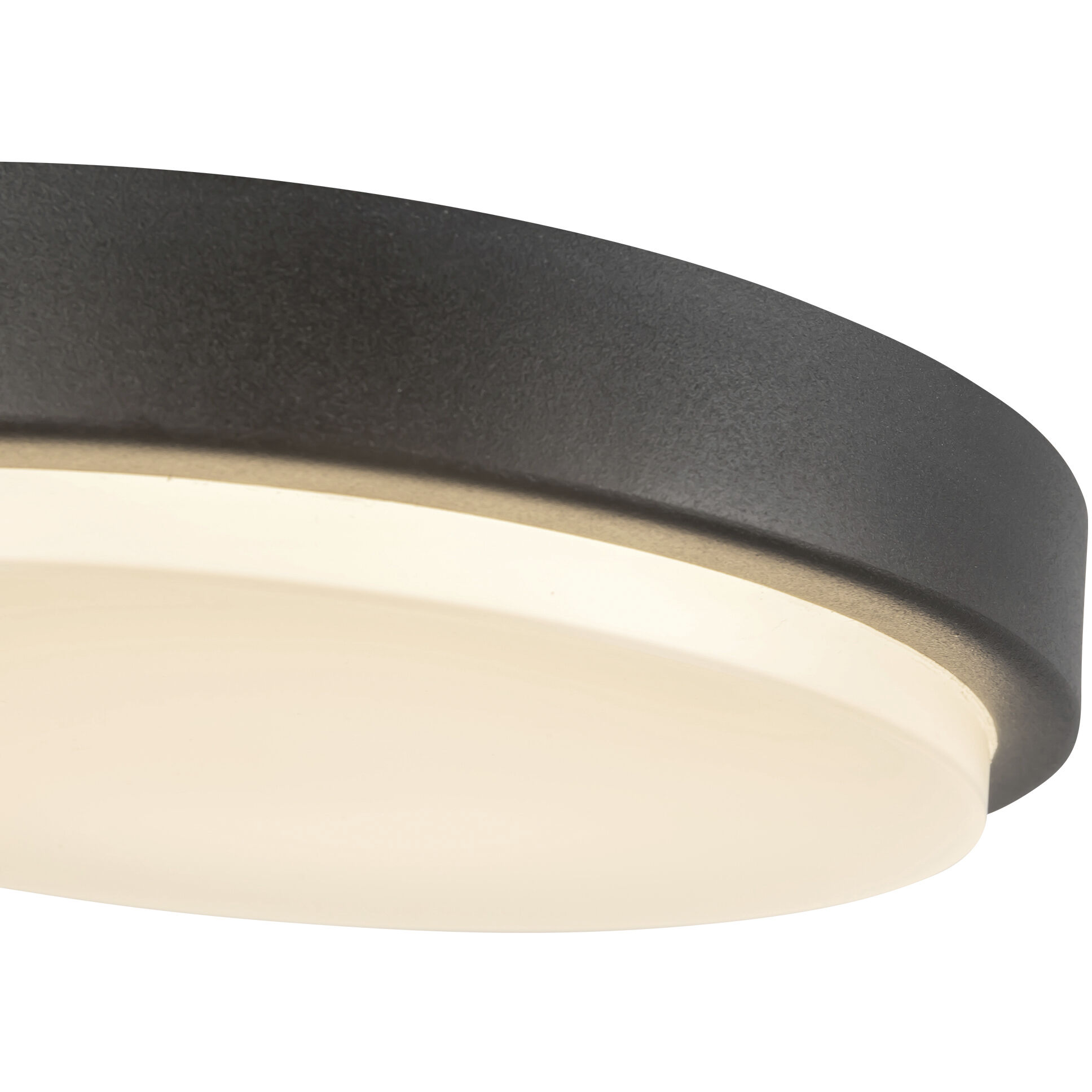 Bailey 9 inch Black Exterior Ceiling