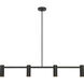 Zentro 4 Light 48 inch Midnight Black Linear Chandelier Ceiling Light in Incandescent