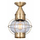 Ellington 1 Light 9 inch Antique Brass Outdoor Semi Flush in Clear Glass, Brass Traditions by Innovations Lighting