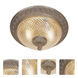 Traditional Brass 2 Light 10 inch Weathered Bronze Flush Mount Ceiling Light