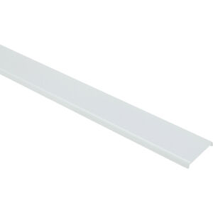 Extrusion Clear Frosted Lens Ceiling Light