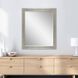 Mirror Collection 33 X 27 inch Metallic Wall Mirror