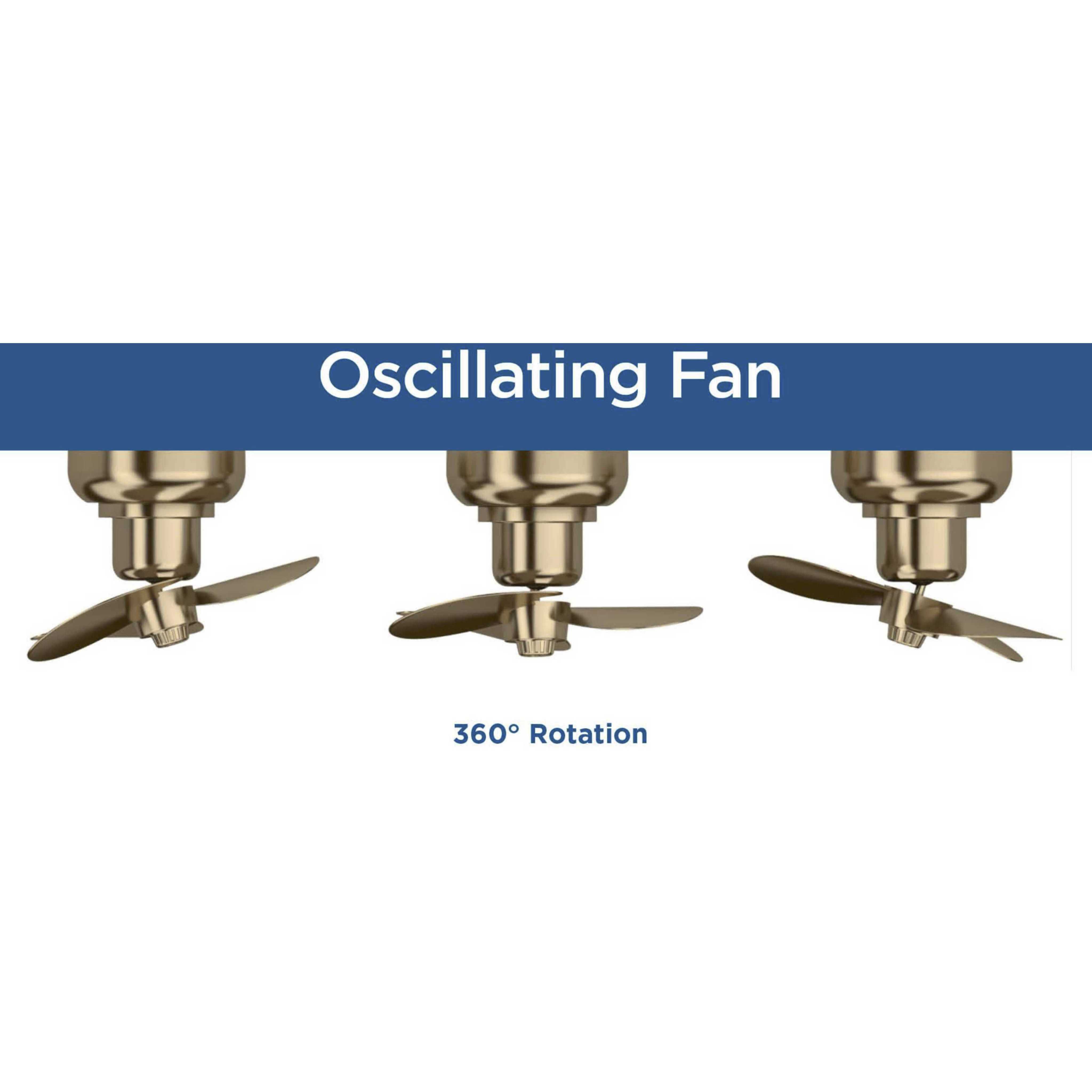 Burnett 20.94 inch Brushed Nickel with Silver Blades Outdoor Ceiling Fan