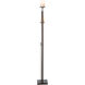 Rook 65.8 inch 100 watt Dark Smoke Twin Floor Lamp Portable Light