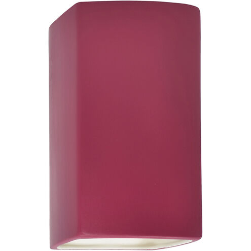 Ambiance Collection LED 13.5 inch Cerise Outdoor Wall Sconce