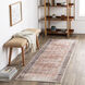 Kemer 120 X 31 inch Taupe Rug, Runner