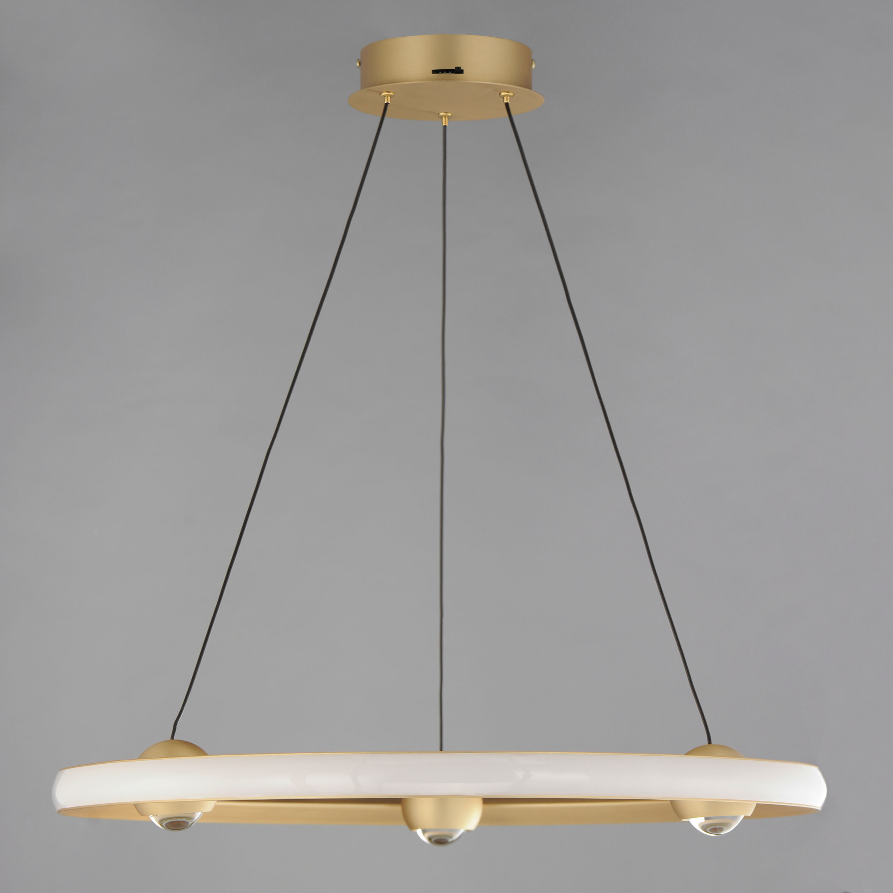 Nodes LED 24 inch Gold Ring Pendant Ceiling Light