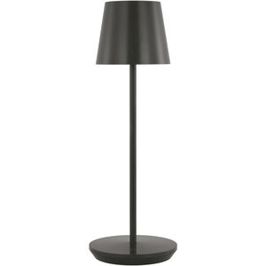 Sean Lavin Nevis 14.6 inch 2.40 watt Bronze Rechargeable Table Lamp Portable Light