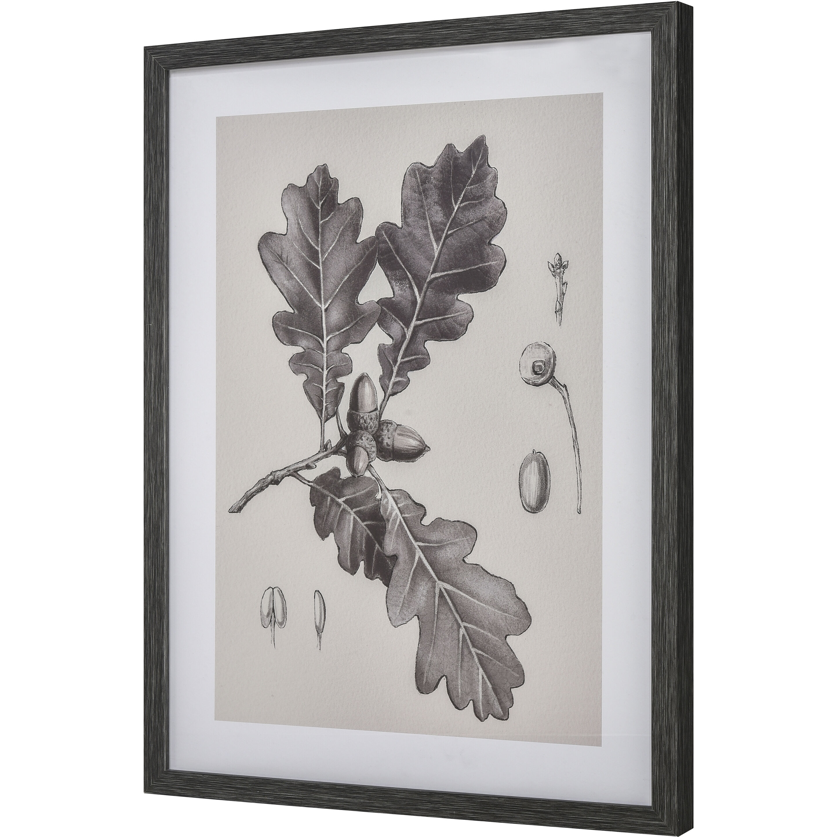 Foliage I Ivory Framed Wall Art, Botanic