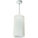 Cobalt 1 Light White Pendant Mount Cylinder Ceiling Light in 3500K, 1000, Reflector
