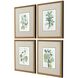 Florals Collection Green Framed Art