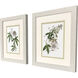 Tropical Botanical I Green and Pink and White Framed Art, Propac