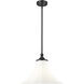 Fleur 1 Light 16 inch Matte Black Pendant Ceiling Light