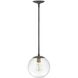 Warby 1 Light 9.5 inch Aged Zinc with Heritage Brass Indoor Pendant Ceiling Light in Clear