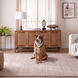 Pari 114 X 79 inch Neutral Rug in 6 x 9