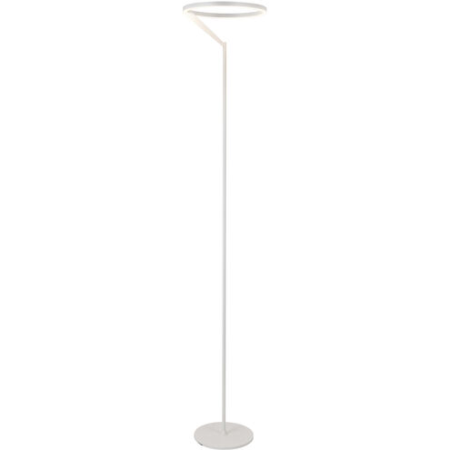 Roda 66.25 inch 25 watt White Floor Lamp Portable Light
