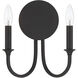 Stone Canyon Sconce Wall Light in Black