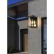 Ludlow 1 Light 19 inch Black Outdoor Wall Sconce