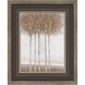Landscapes Collection Brown Framed Art