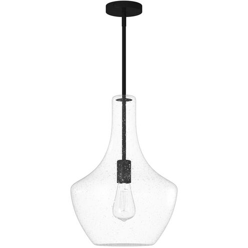 EVOLV 14 inch Matte Black Pendant Ceiling Light, Harlow Family