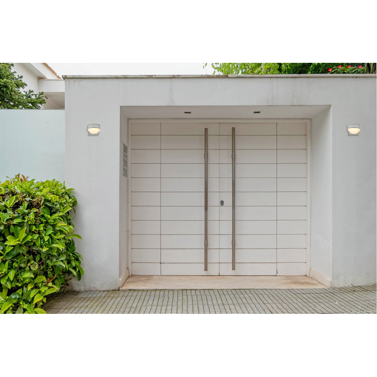 Raine Outdoor Wall Light in Silver