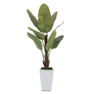 Glacier Decorative Plant