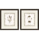 Neutral Imperial II Brown and Neutral Framed Art, Propac