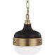 Cadence 1 Light 8 inch Dark Antique Brass / Matte Black Pendant Ceiling Light in Dark Antique Brass and Matte Black